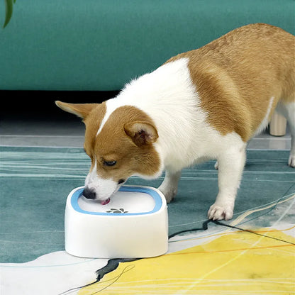 Dog Drinking Water Bowl
